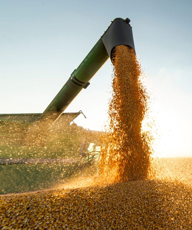 VENDA DE FARELO DE SOJA AGRO XINGU CORRETORA DE GRAOS