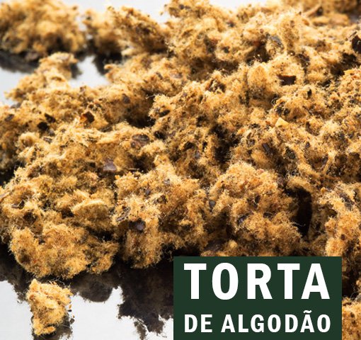 TORDA DE ALGODÃO AGRO XINGU CORRETORA DE GRÃOS