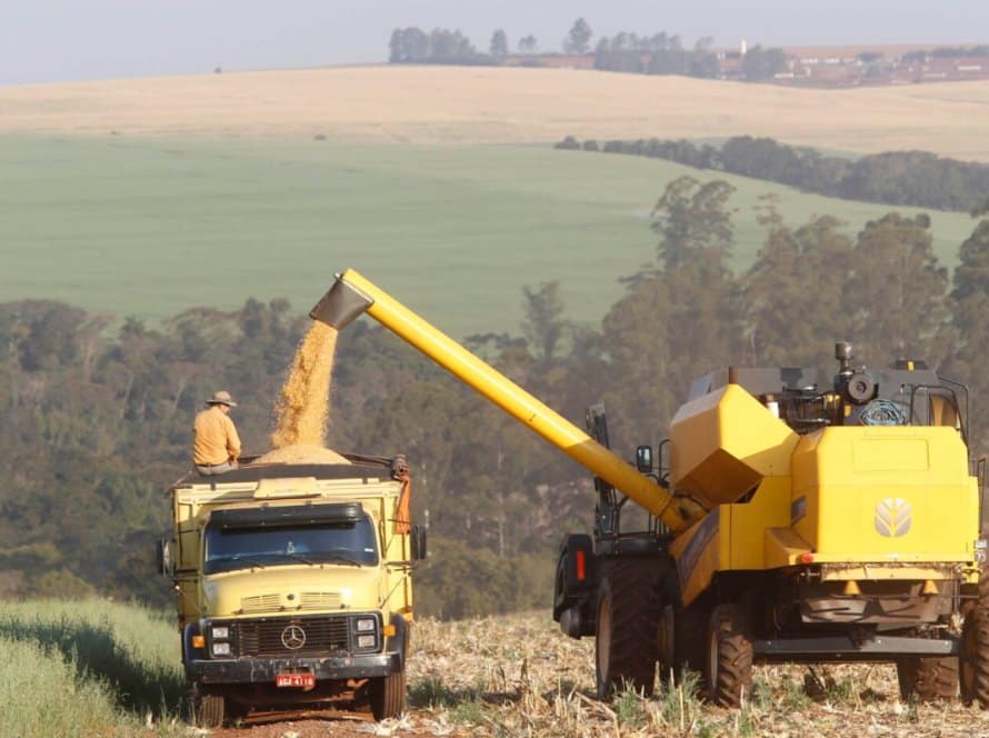 Colheita de milho inicia no Mato Grosso em meio a preocupações com armazenamento