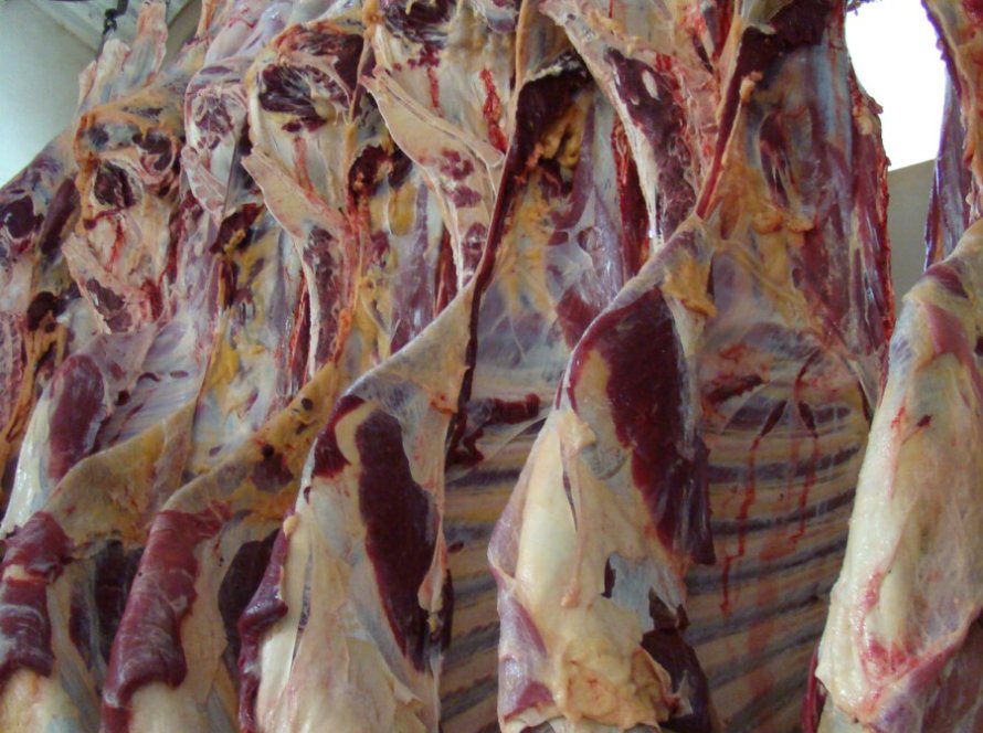 Exportações de carne bovina do Brasil caem em abril de 2023, mas volume ainda é o segundo melhor da história”.