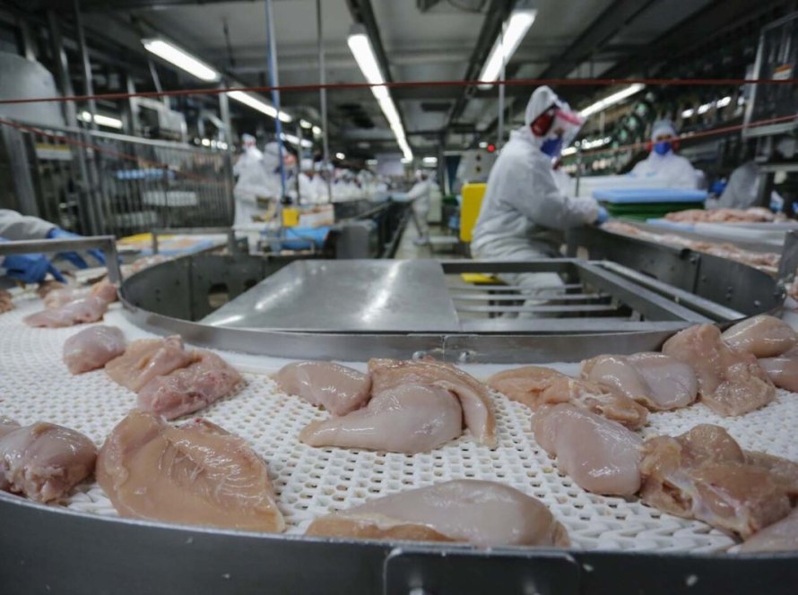 Exportações de carne de frango crescem 4% em abril