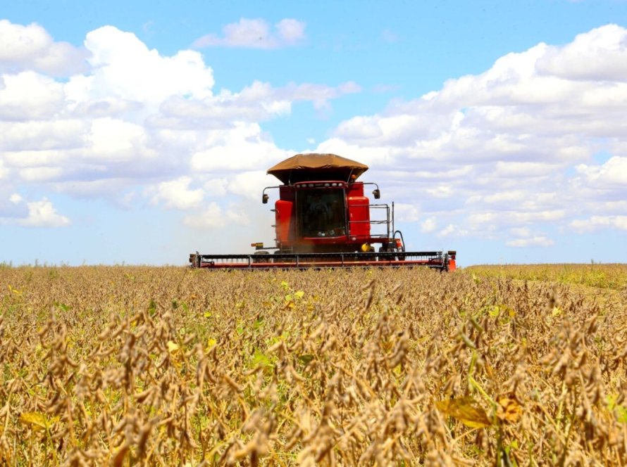 Produtividade, biodiesel e maior demanda elevam projeções para a soja