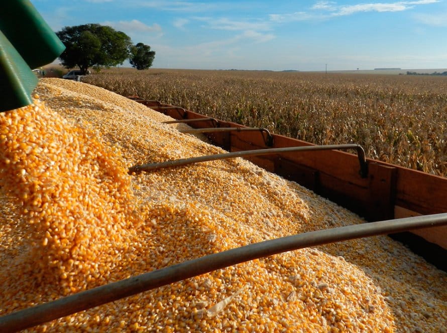 Relação entre frete do milho de Sorriso/MT à Santos/SP e preço da saca está 23,53 pontos percentuais acima do ano passado