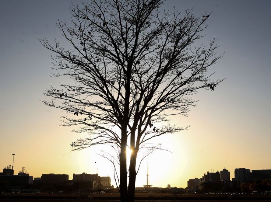 Temperaturas globais devem subir a níveis recordes nos próximos anos