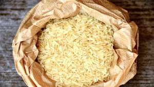 Edição de genoma permite arroz resistente