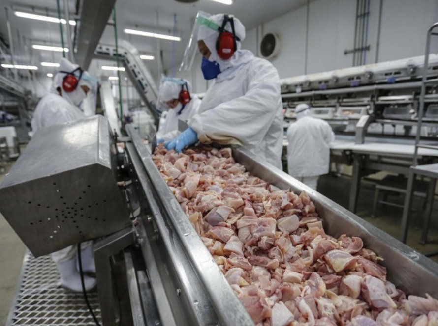 Exportações de carne de frango crescem 0,9% em maio