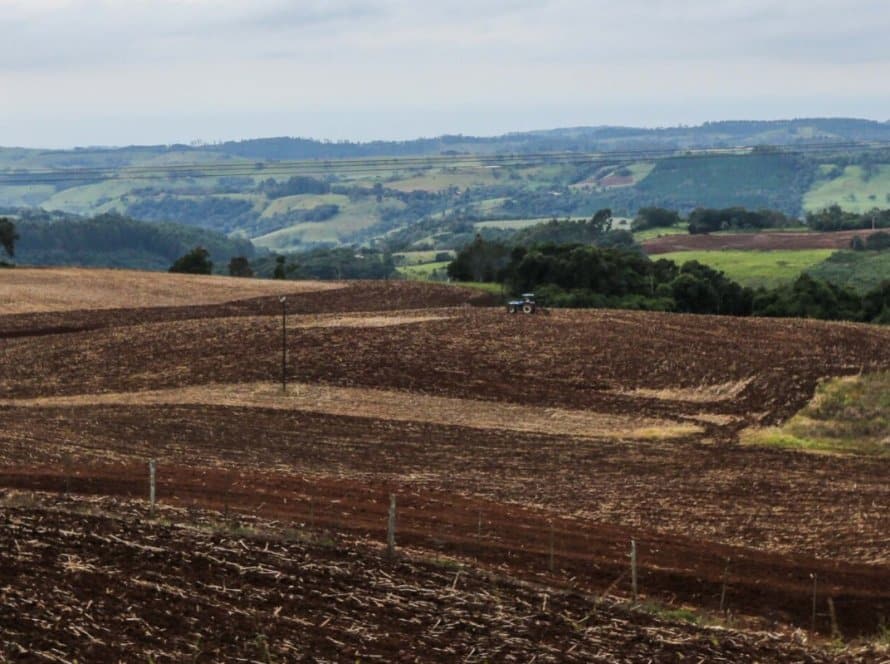 Vazio sanitário da soja tem início no Brasil