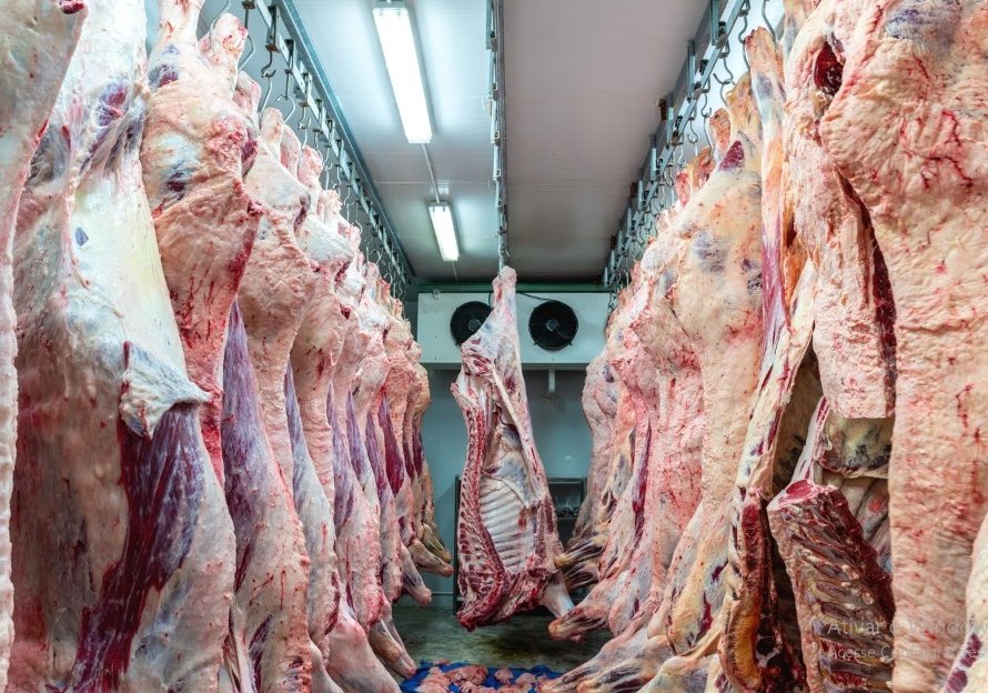 Preços do óleo de soja e carne bovina caem, enquanto açúcar refinado e leite integral registram aumento