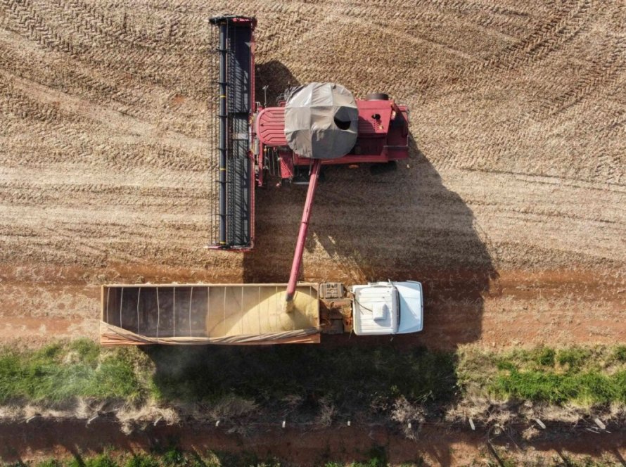 Secretaria da Agricultura do Paraná divulga nova estimativa da safra 2022/23