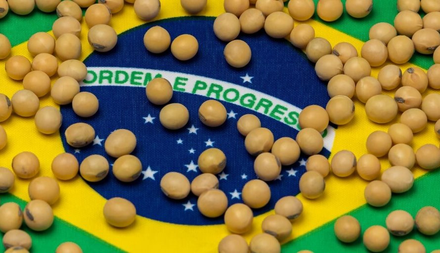 Soja 23/24 deve registrar menor expansão de área em 17 anos no Brasil, estima Pátria Agronegócios