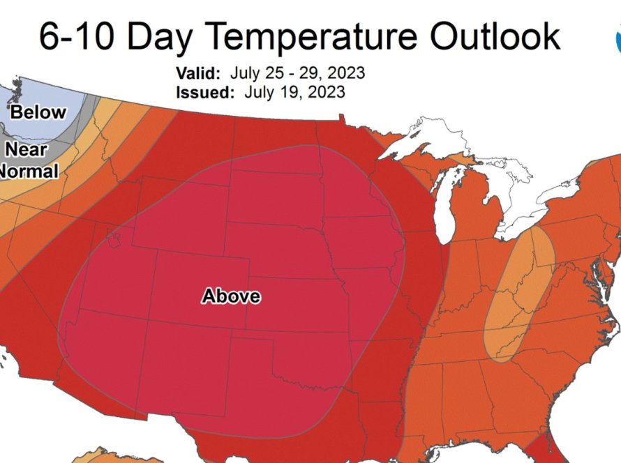 Soja tem sessão de volatilidade nesta 5ª em Chicago por conta do trigo, mas clima nos EUA segue em foco