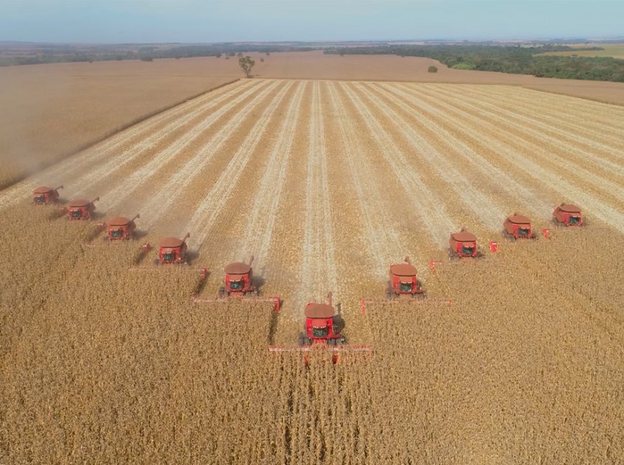 Colheita da segunda safra de milho no estado do Mato Grosso do Sul está progredindo lentamente, aponta Famasul