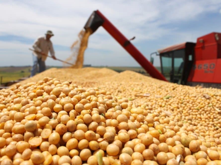 Perdas entre a colheita e a venda de grãos representam um desafio constante ao setor agrícola brasileiro