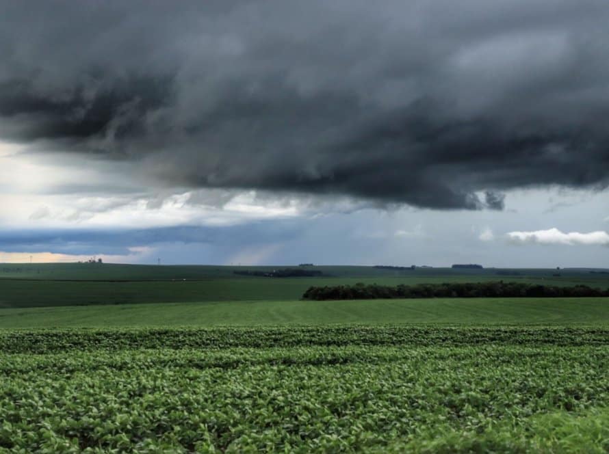 Agosto “quente” e chuvas com distribuição irregular favoreceram a agricultura no Paraná