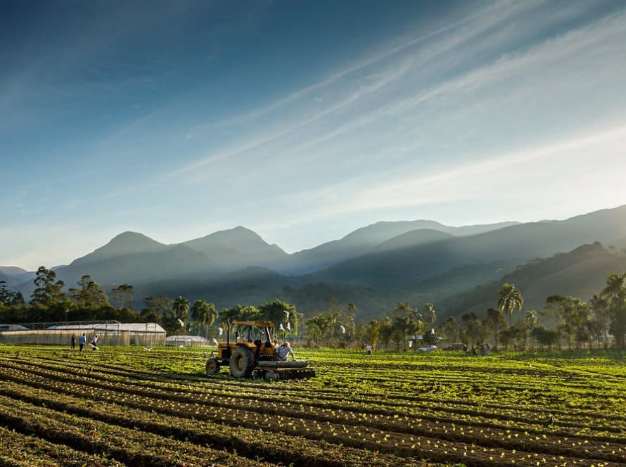 Plano Safra será de R$ 77,7 bilhões para agricultura familiar