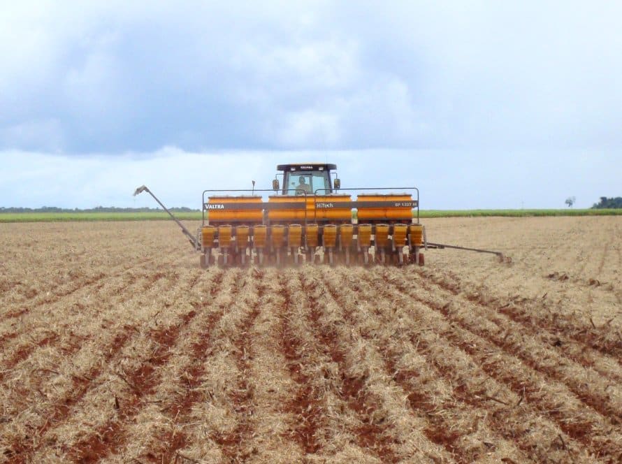 Plantio de soja do Brasil avança pouco em meio a chuvas irregulares, diz Pátria AgroNegócios