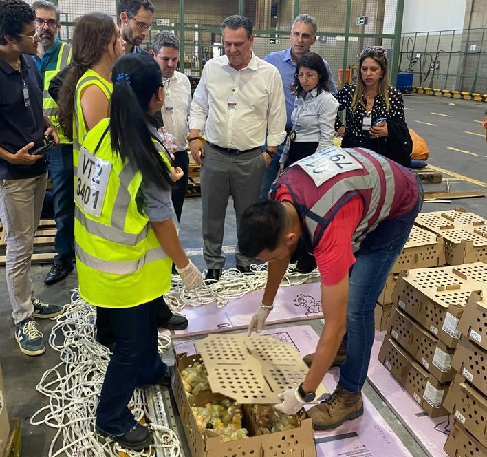 Carlos Fávaro visita terminal de cargas para exportações e importações de animais e de produtos agropecuários em Viracopos