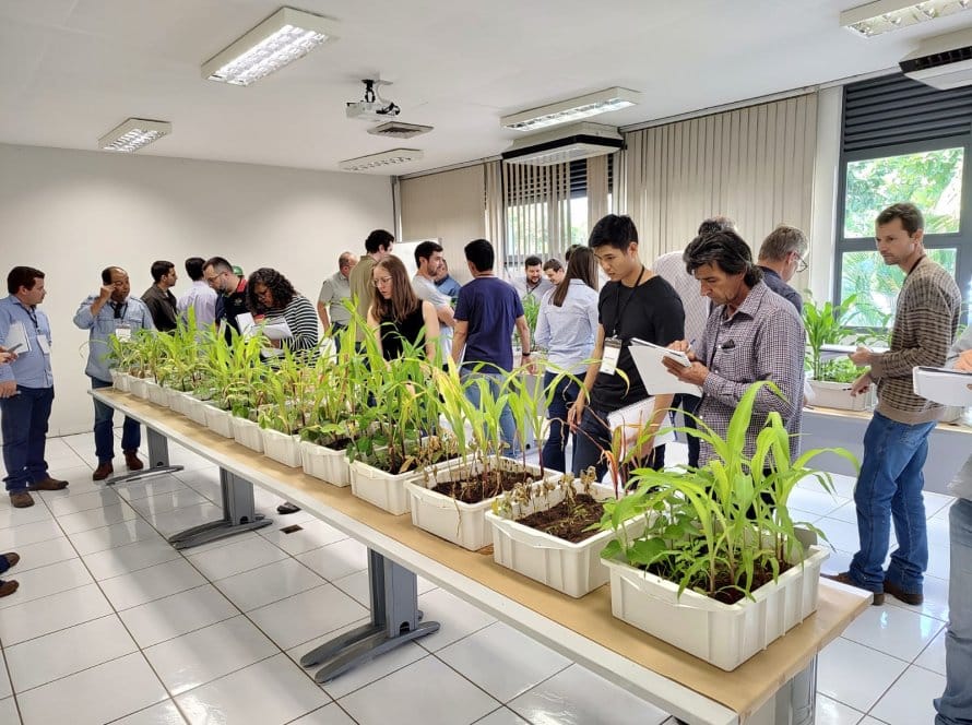 Embrapa: Abertas inscrições para Curso de Produção de Soja