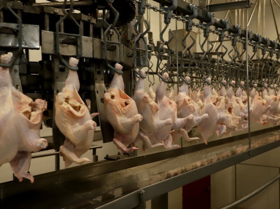 Exportações de carne de frango crescem 2% em outubro