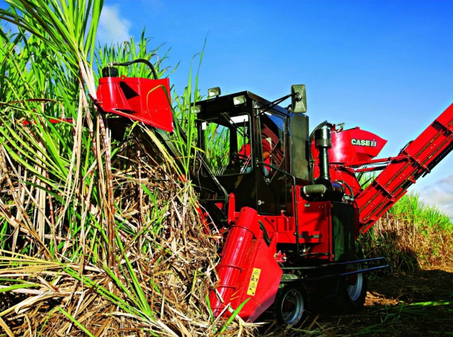 Clima favorece produção de etanol na safra 2023/24