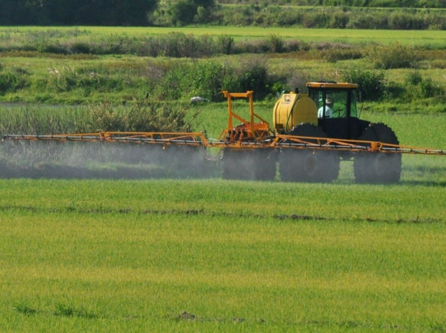 Desafios climáticos abalam plantio da soja no Brasil