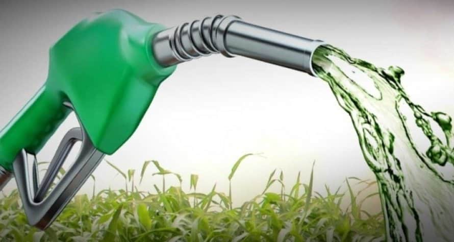 Biodiesel estimula indústria e amplia esmagamento de soja em 2024