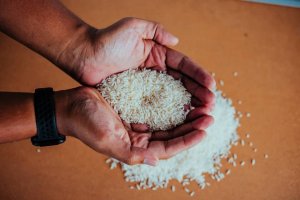 FEDERARROZ: Preços estimulam produtor de arroz e garantem abastecimento para 2024