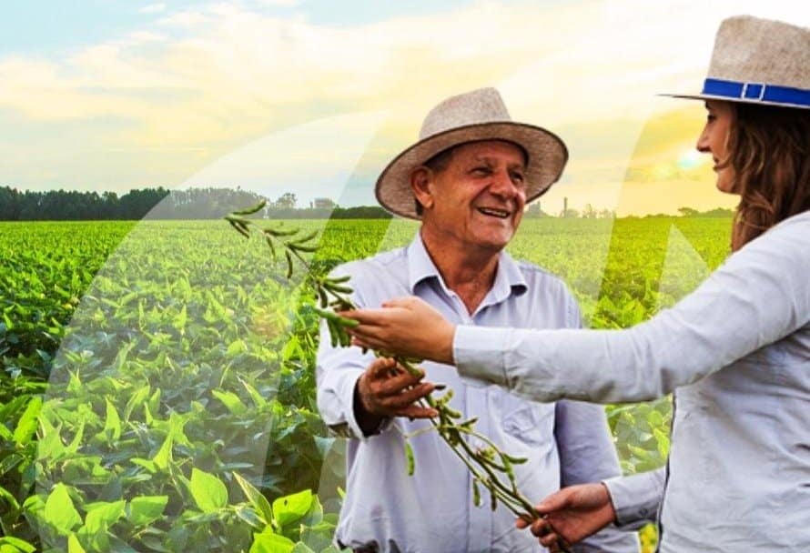 Golden Harvest tem as sementes de soja ideais para obter os melhores resultados em sua lavoura; conheça