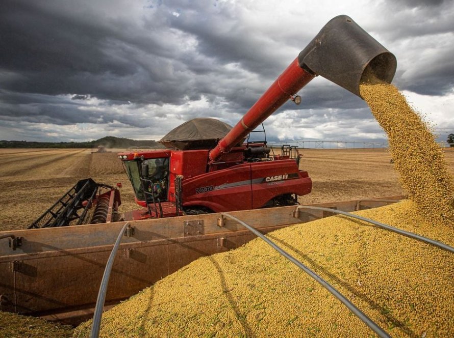 AgRural: Colheita de soja vai a 11% em semana mais chuvosa em parte do país