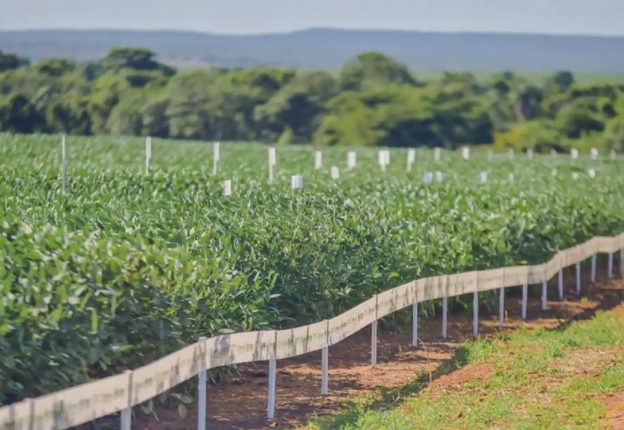 Aprosoja-MT auxilia produtores no manejo de solos siltosos