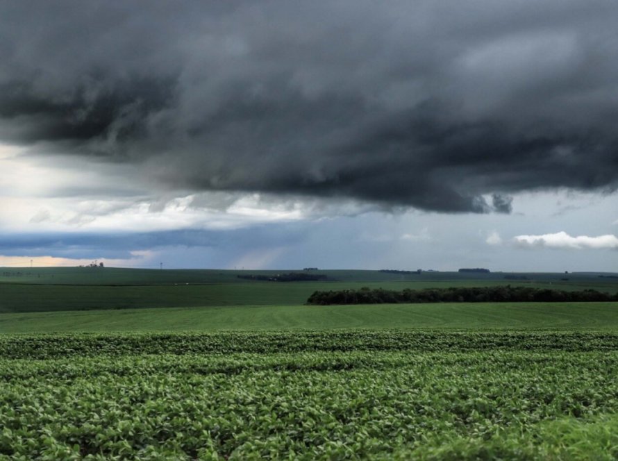 Clima desafia agronegócio brasileiro em 2024