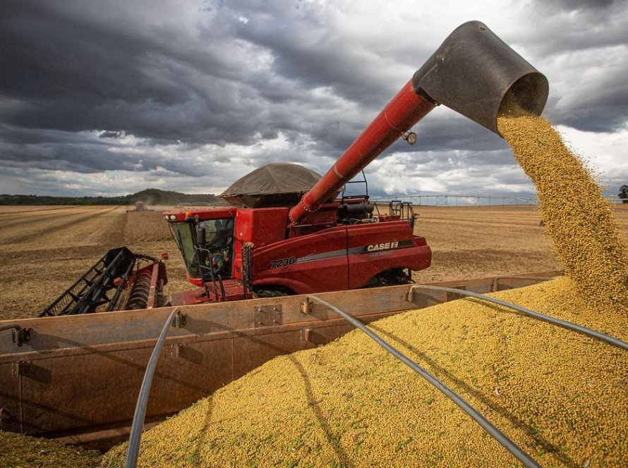 AgRural: Com colheita de soja em 40%, produção cai para 147,7 mi de t