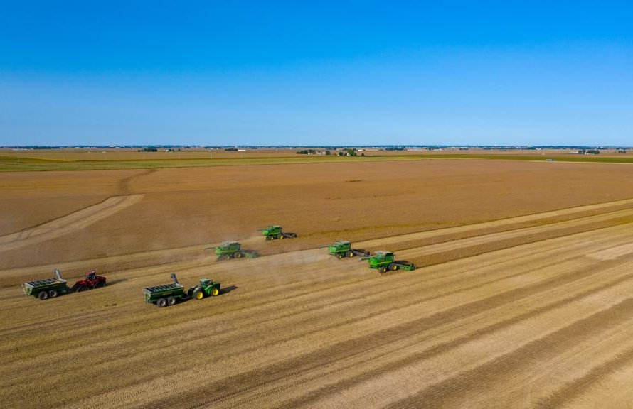 Agromove: Clima beneficia safras argentina e norte-americana de soja e mantém expectativa de preços pressionados para baixo