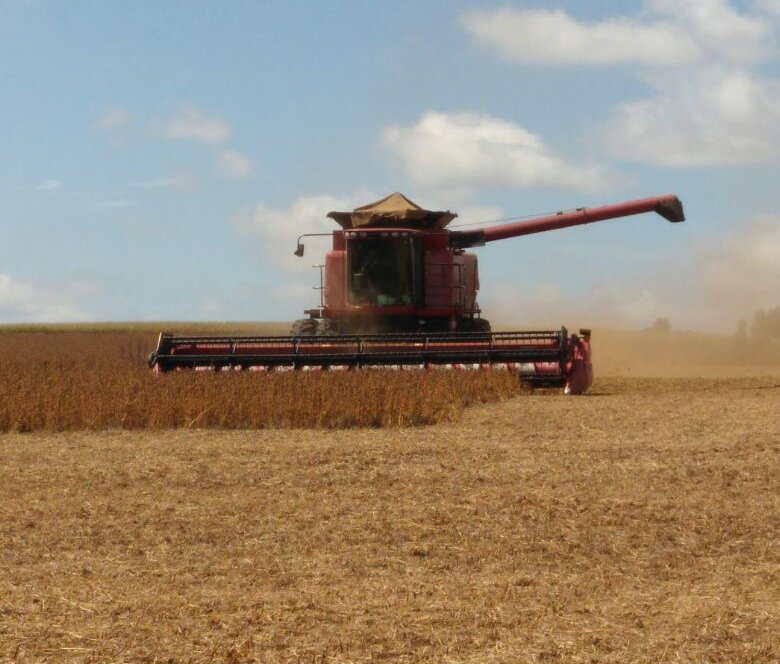 Com colheita de soja em 16% da área no Brasil, alerta agora é no Sul