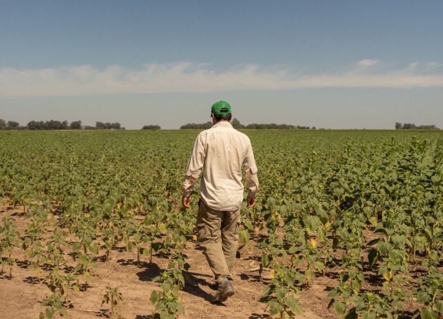 Onda de calor na Argentina gera cautela sobre safras abundantes de soja e milho