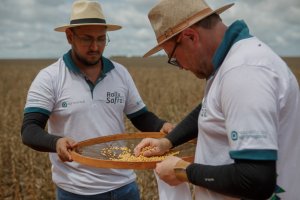 Rally da Safra retorna ao Oeste do Paraná para avaliar soja de ciclo médio e tardio