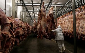 Rússia habilita novos frigoríficos brasileiros a exportar carne bovina e aves