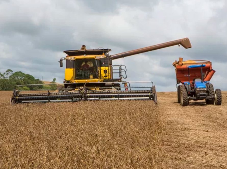 AgRural: Com regiões mais tardias ditando o ritmo, colheita de soja vai a 63%