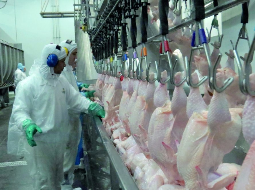 Exportações de carne de frango crescem 4,7% em fevereiro