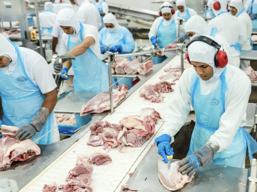 Exportações de carne suína acumulam alta de 17,6% neste ano