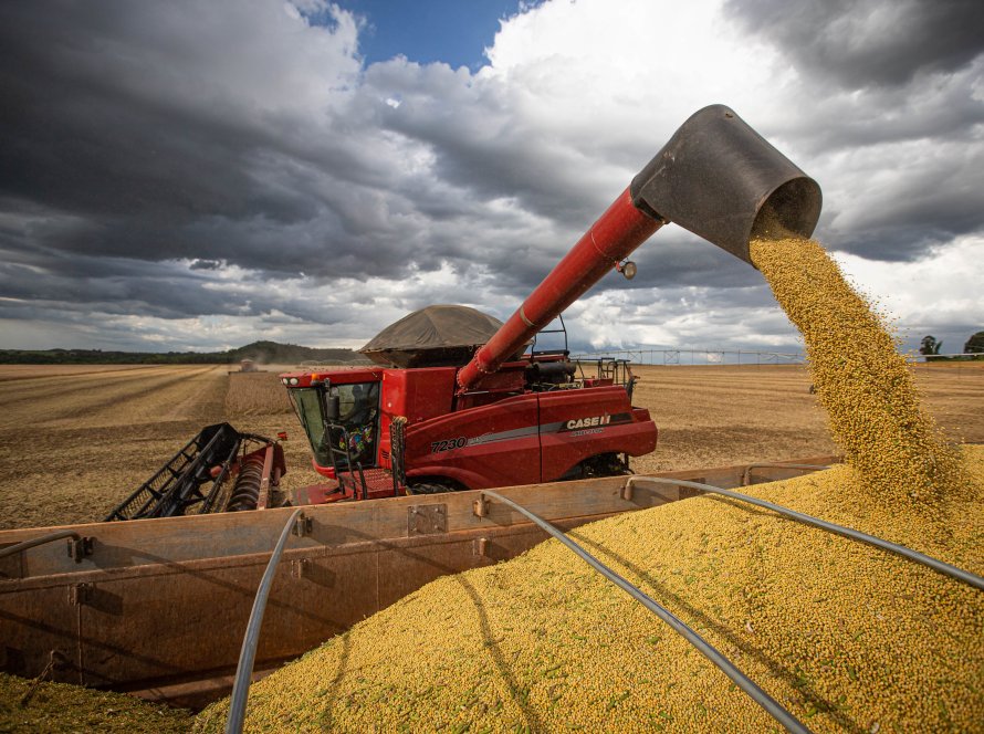 Agrural: Colheita de soja chega a 74% da área no Brasil