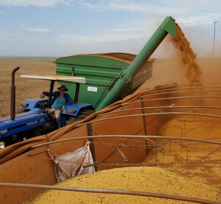 Datagro reduz projeção de safra de soja para 146,3 mi t