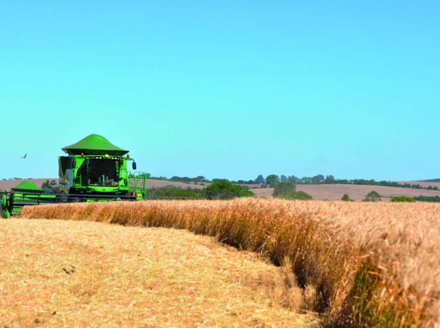 Exportações do agronegócio brasileiro batem recorde e atingem US$ 37,44 bilhões