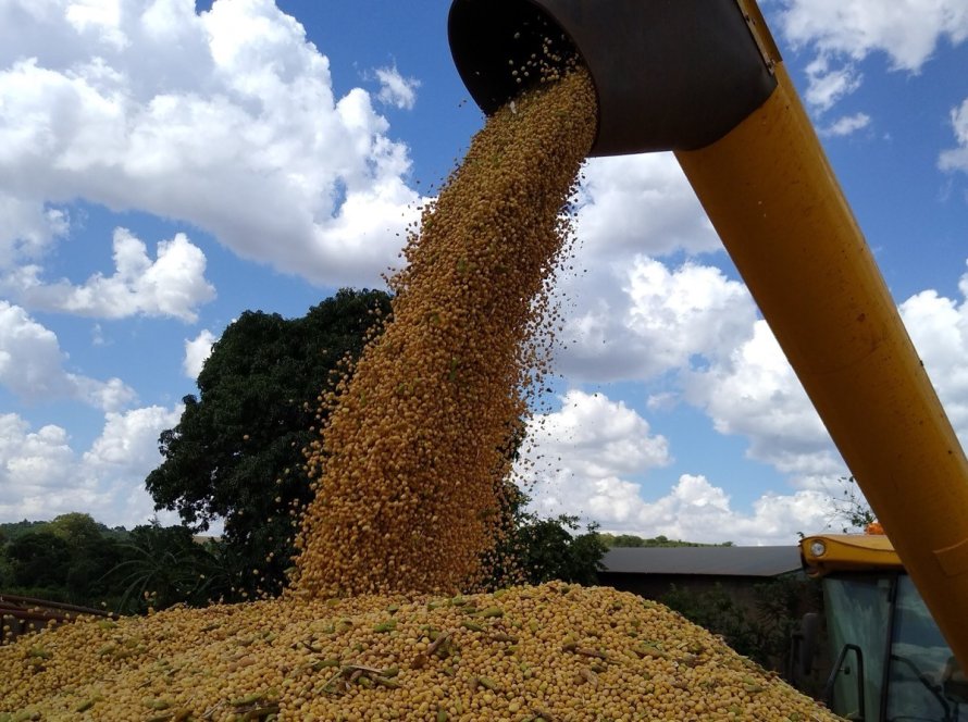 Perdas na colheita da soja 2022/23 superam 7 mil sacas no Paraná