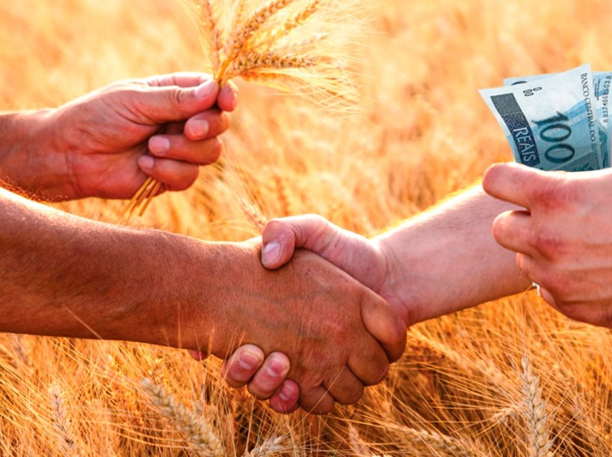 Com cenário desafiador atual das safras de soja e milho, é cada vez mais urgente a gestão eficiente da propriedade rural