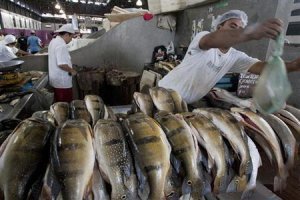 Exportações de peixes de cultivo chegam a US$ 8,7 milhões e crescem 48% no primeiro trimestre de 2024