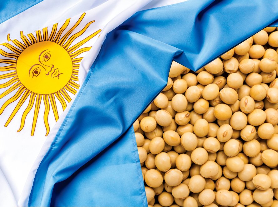 Produtores de soja da Argentina aguardam alta de preços para vender safra prejudicada por chuvas