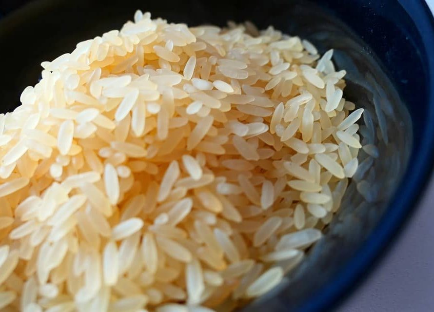 Safra gaúcha de arroz é suficiente para abastecer mercado brasileiro