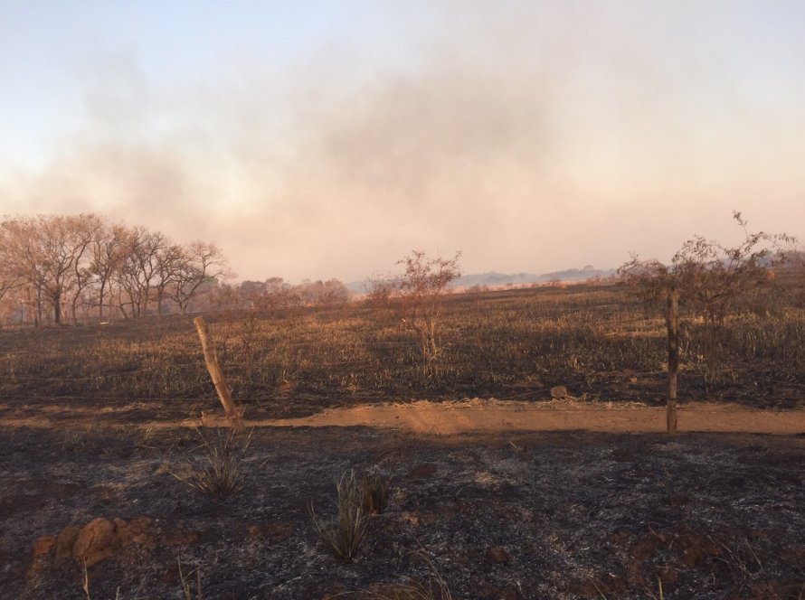 Seca e focos de incêndio colocam Mato Grosso em alerta