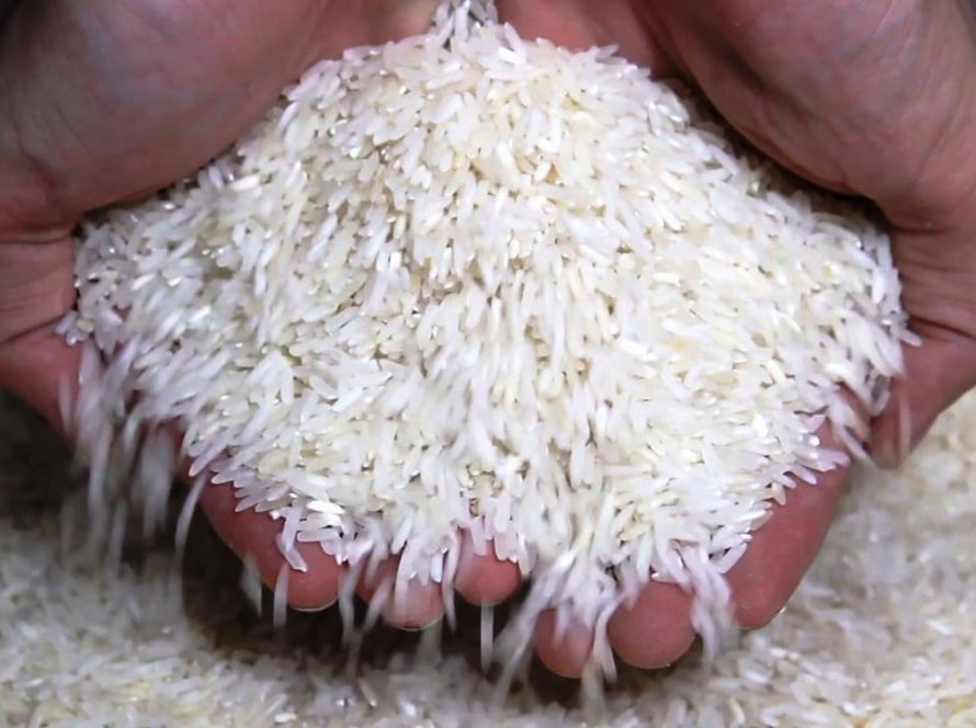 Arroz: Justiça derruba liminar, leilão acontece e Conab compra mais de 263 mil t de produto importado